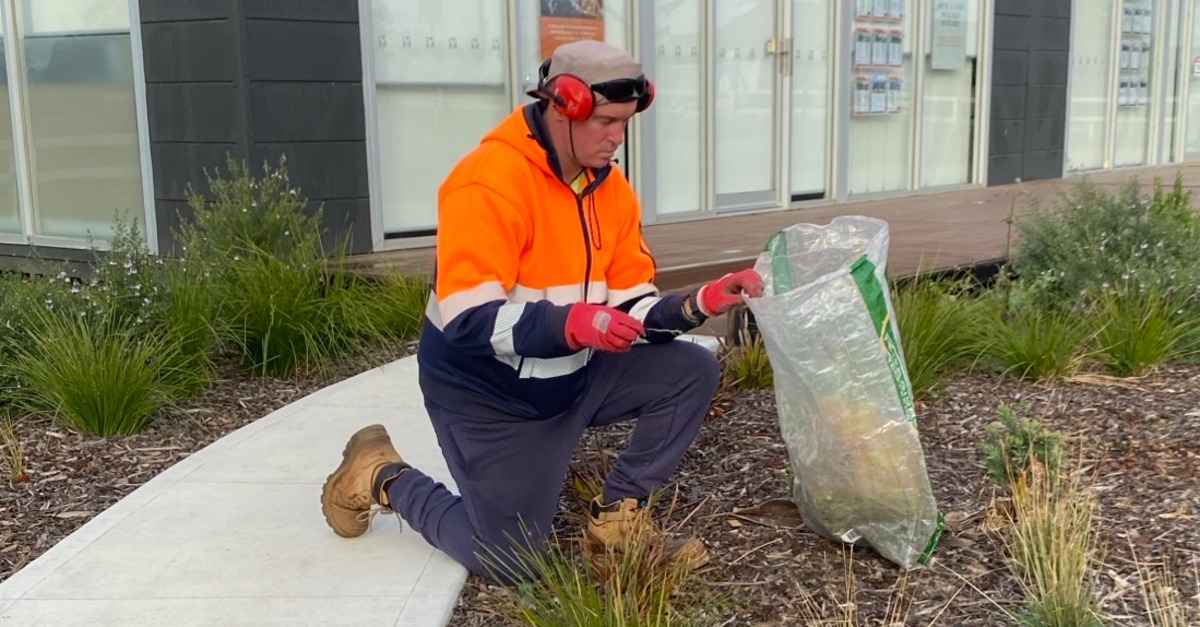 NS Waverley 1200x627